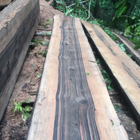 Ebony Sawn Timber Ebony Sawn Timber 3 img_20161203_wa0005