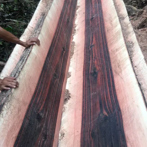 Ebony Sawn Timber Ebony Sawn Timber 4 img_20161203_wa0006